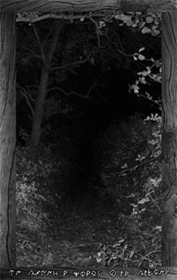 Briargh  -  En El Bosque De Erudinus