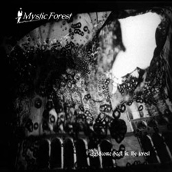 Mystic Forest  -  Welcome Back In The Forest