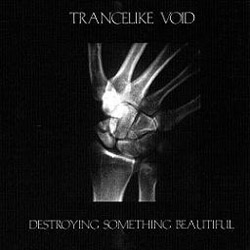 Trancelike Void  -  Destroying Something Beautiful