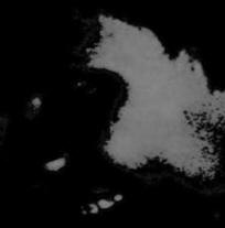C.